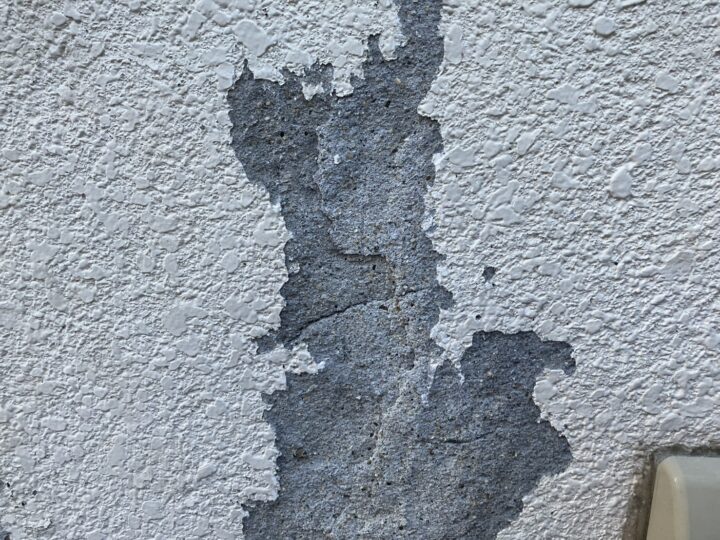 カット処理完了